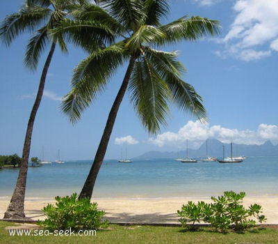 Baie d'Outumaoro (Tahiti) (I. Société)