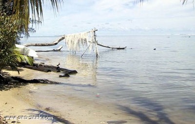 Baie de Patii (Tahaa) (I. Société)