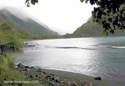 Baie de Tautira (Tahiti) (I. Société)