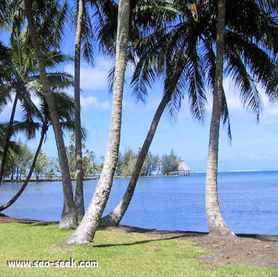 Passe Temarauri (Tahiti) (I. Société)