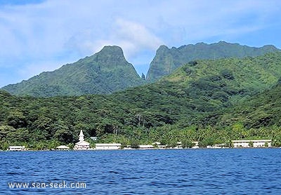 Baie de Tepua (Raiatea) (I. Société)