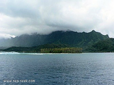 Passe Toamaro (Raiatea) (I. Société)