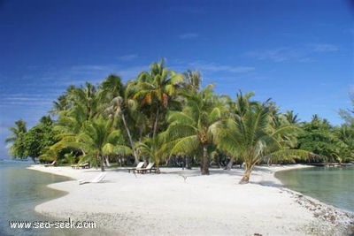 Motu Tuuahine (Tahaa) (I. Société)