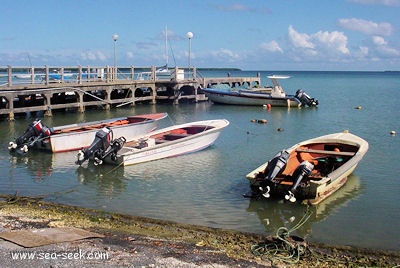 Port de plaisance de Mahault