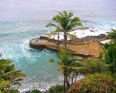 Bounty Bay (Pitcairn) (Pitcairn I.)