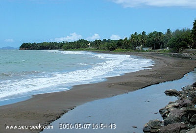 Plage des Roseaux (Capesterre Belle Eau)