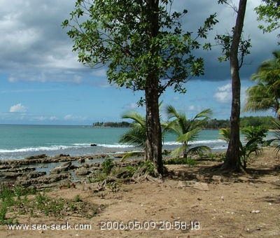 Anse du Vieux Fort (Sainte Rose)