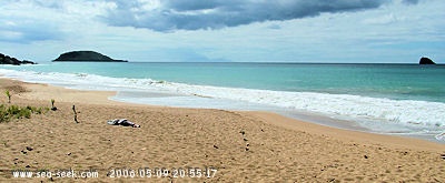 Anse du Vieux Fort (Sainte Rose)