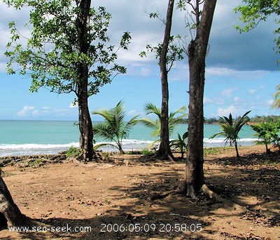 Anse du Vieux Fort (Sainte Rose)