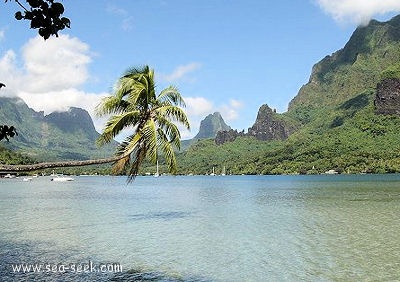 Baie de Cook (Moorea) (I. Société)