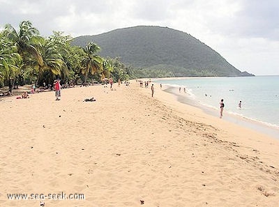 Plage de Grande Anse (Deshaies)