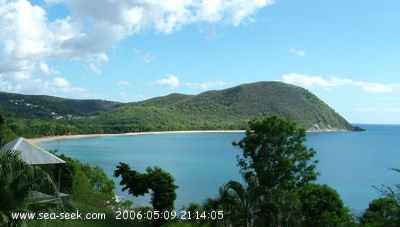 Plage de Grande Anse (Deshaies)