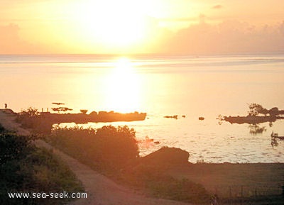 Baie de Haapiti (Moorea) (I. Société)