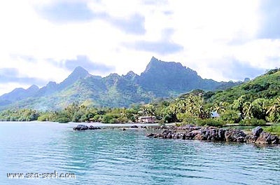 Baie de Haapiti (Moorea) (I. Société)