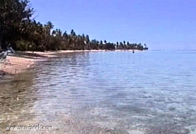 Baie de Haapiti (Moorea) (I. Société)