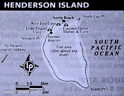 Henderson Island (Pitcairn)