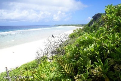 Ducie Island (Pitcairn)