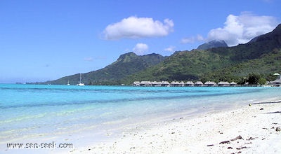 Baie de Nuarei (Moorea) (I. Société)