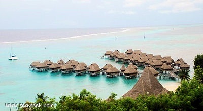 Baie de Nuarei (Moorea) (I. Société)