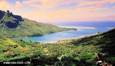 Baie d'Opunohu (Moorea) (I. Société)