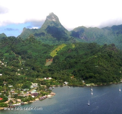 Pointe Paveau (Moorea) (I. Société)