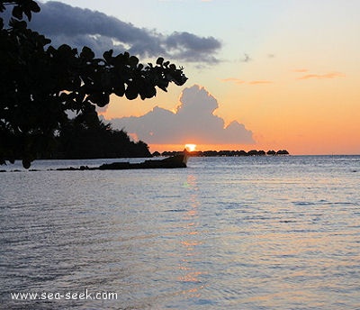 Pointe Pihaena (Moorea) (I. Société)