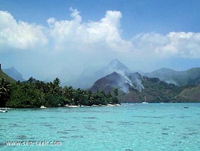 Pointe Pihaena (Moorea) (I. Société)