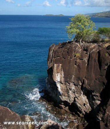 Pointe à Lézard (Bouillante)