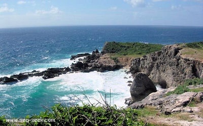 Pointe des Châteaux (St François)