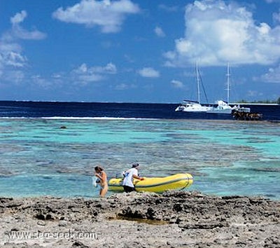 Motu Rimatuu (Tetiaroa) (I. Société)