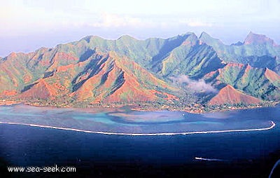 Pointe Tipae (Moorea) (I. Société)