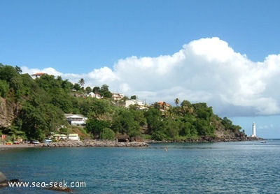 Pointe du Vieux Fort (Basse Terre)