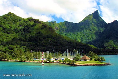 Marina Vaiare (Moorea) (I. Société)