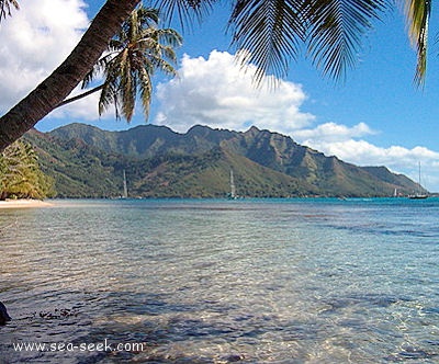 Baie d'Opunohu (Moorea) (I. Société)