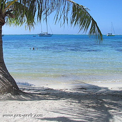 Baie d'Opunohu (Moorea) (I. Société)