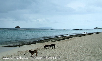 Anse à la Gourde (St François)