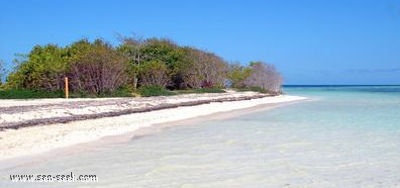 Îlet Blanc (Sainte Rose)