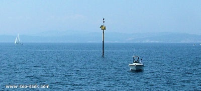 Ecueil de Lavezzi