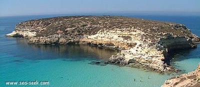 Isola dei Conigli (Lampedusa)