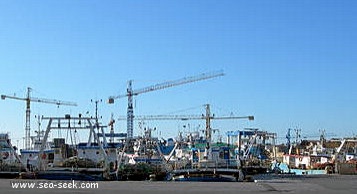 Porto Mazara del Vallo  (Sicilia)