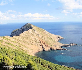 Punta Libeccio (Marettimo)