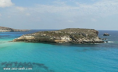 Isola dei Conigli (Lampedusa)