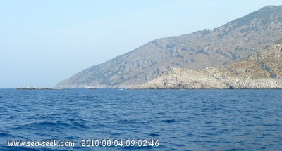Cap Kurtoglu