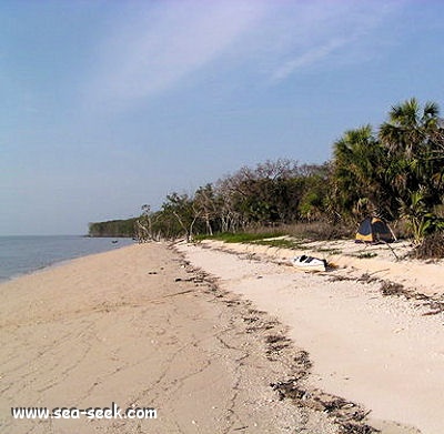 Cape Sable (Florida)