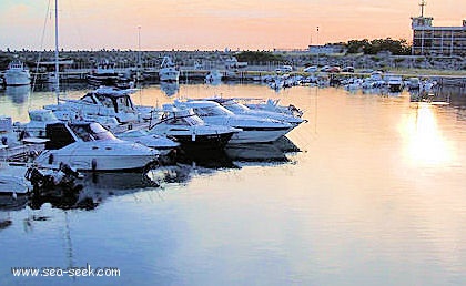 Porto di Gioia Tauro (Italia)