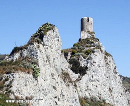 Porto di Rocella Ionica (Calabria)