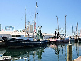 Safe Harbor (Stock Island)