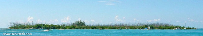 Wisteria Island (Florida Keys)