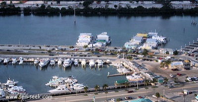 Garrisson bight marina  (Key West)