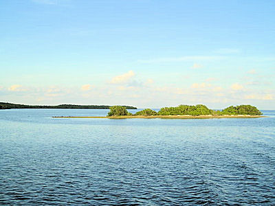 John Pennekamp Coral Reef State Park (Key Largo)